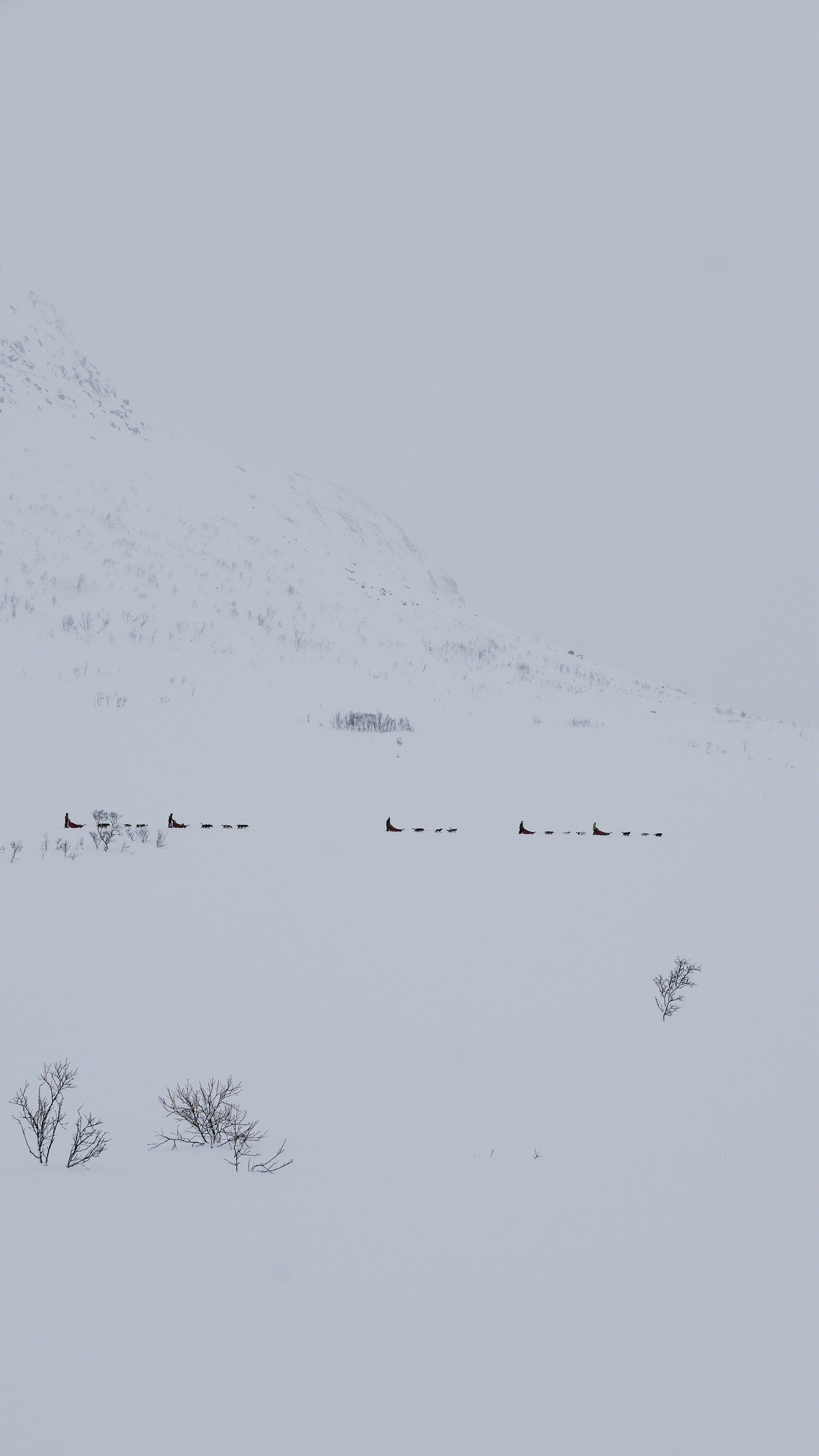 Arctic Horizons