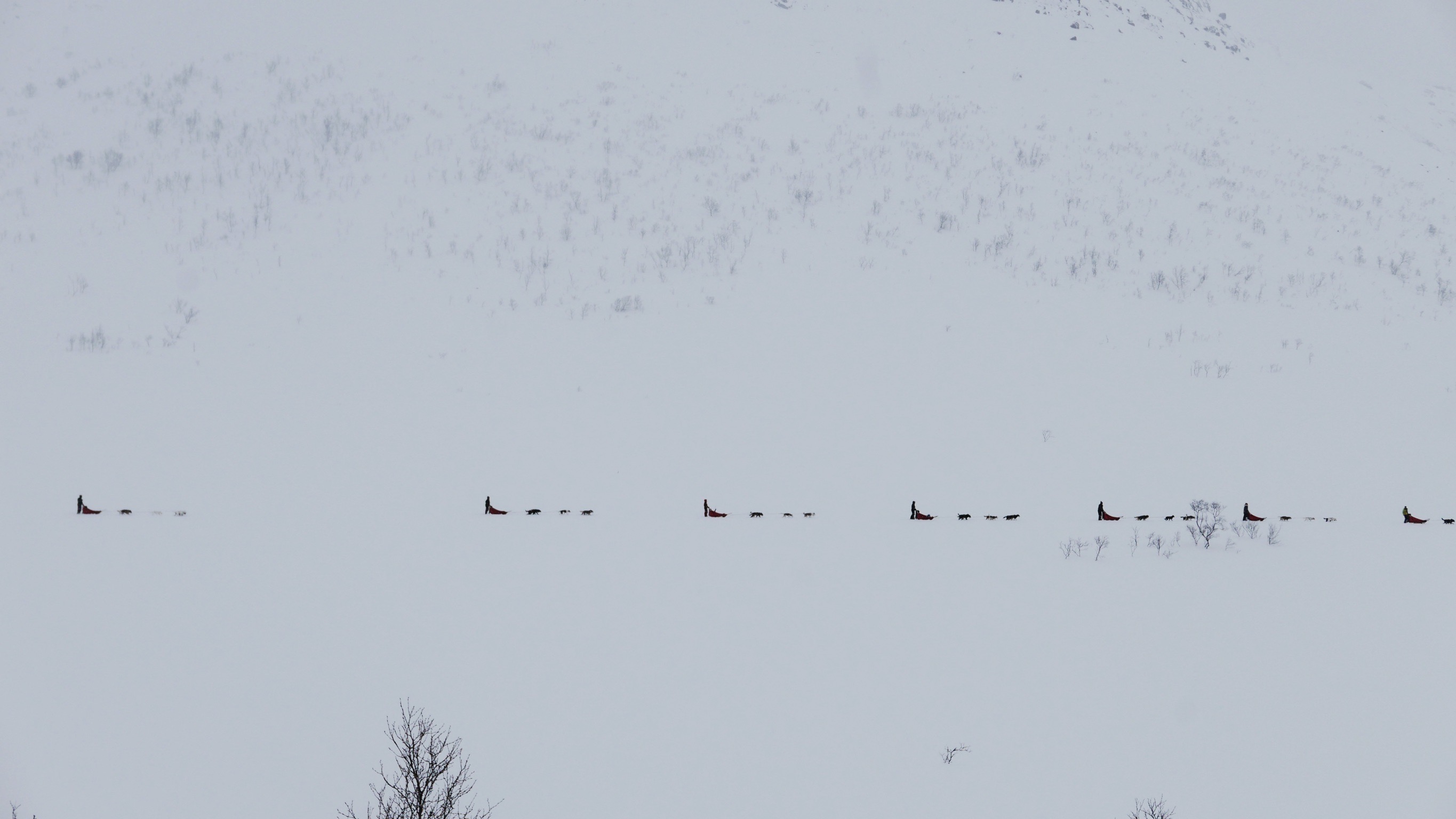 Arctic Horizons